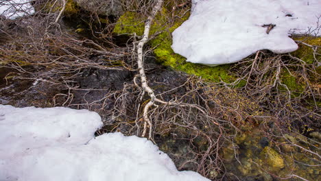 stream from the glacier