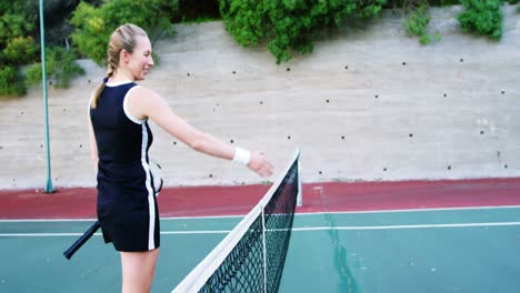 tennis players shaking hands