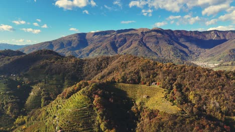 Aerial-panoramic-view-over-italian-prosecco-hills,-vineyard-rows,-with-mountains-in-the-background