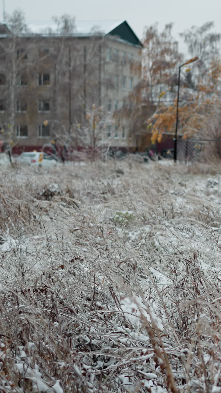 얼어붙은 잔디와 초창기 눈의 을 보여주는 겨울 장면, 회색 하늘 아래의 갈색과 노란색의 무성한 색상 가운데 얼음 질감, 멀리 떨어진 건물과 벌거벗은 나무의 배경에 설정
