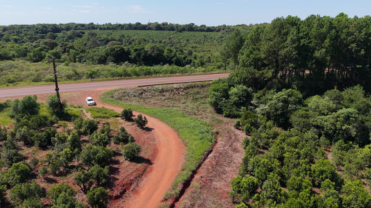 Man walks on dirt road between yerba mate and tea fields in Misiones, Argentina, drone view