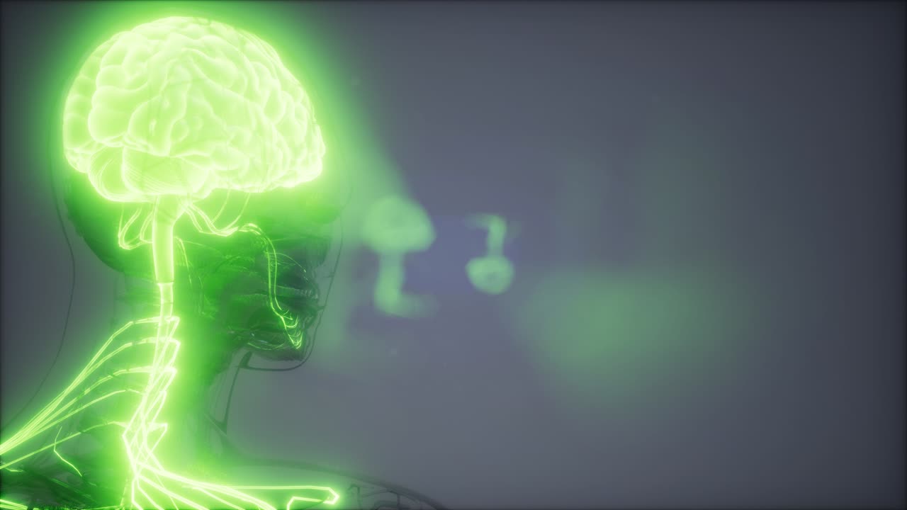 Esame radiologico del cervello umano
