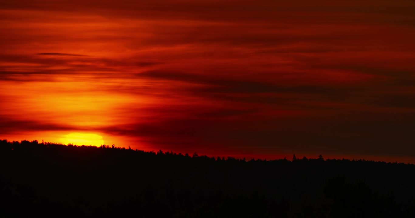 Dramatischer Zeitraffer eines lebhaften Sonnenuntergangs über einem Waldhorizont