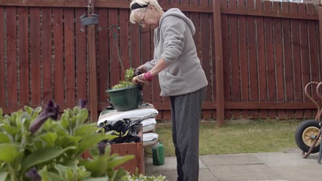 female gardener potting plants in garden during springtime