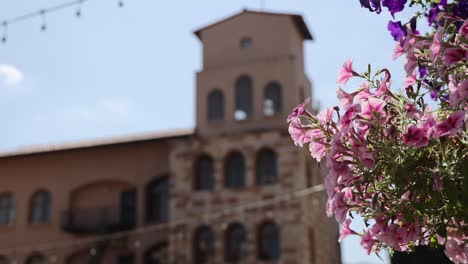 vibrant flowers bloom in front of an old building