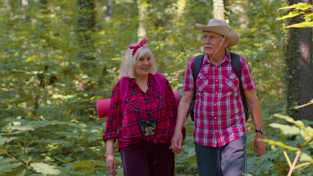 abuela anciana abuelo turistas disfrutando de caminar, hacer senderismo con mochilas en el bosque de verano