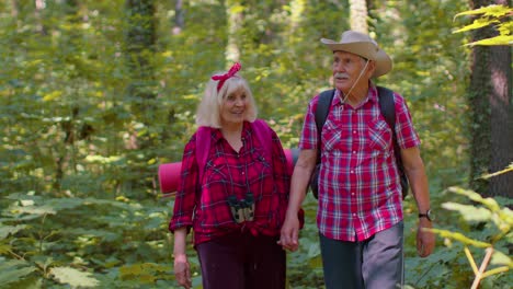 Senior-old-grandmother-grandfather-tourists-enjoying-walking,-hiking-with-backpacks-in-summer-wood