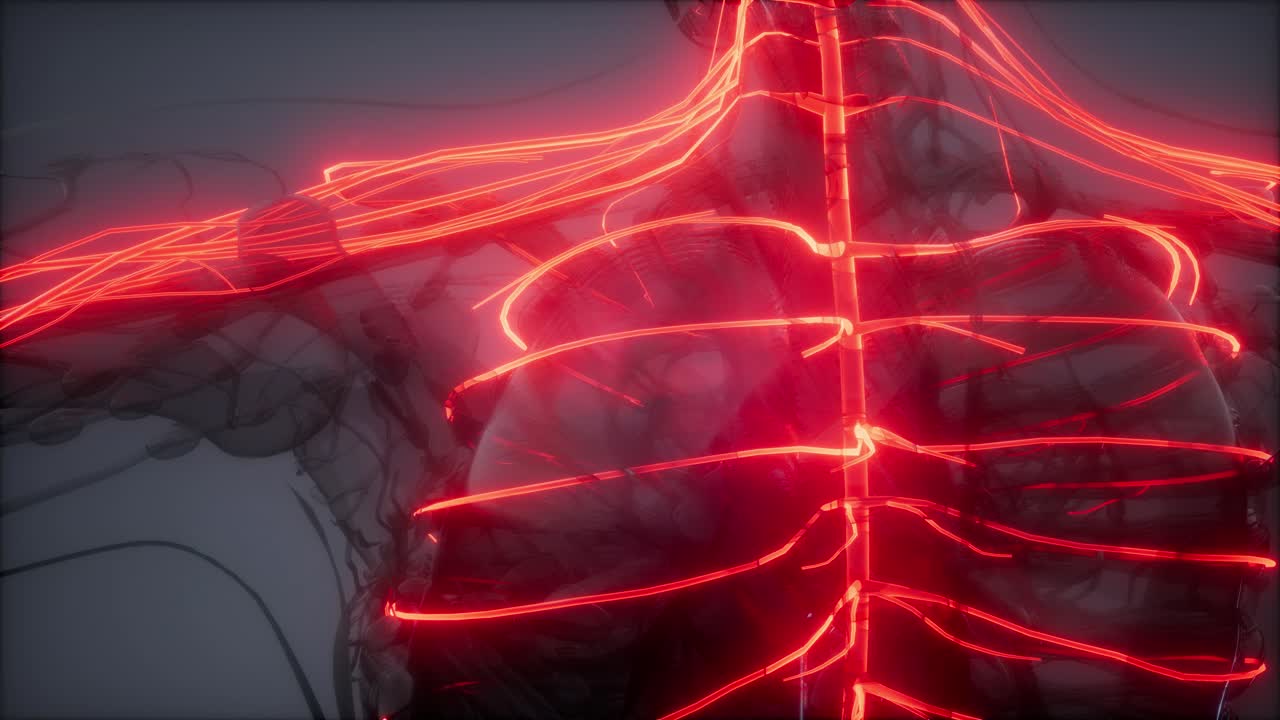 인간 뇌 방사선 검사