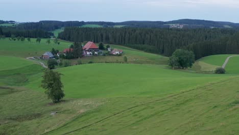 Idyllisches-Filmisches-Bauernhaus-Am-Schwarzwald-Aus-Der-Swr-&quot;die-Fallers&quot;-Mit-Wiese-Mit-Baum-Und-Tannen-Holz-Wald-Luftfahrt-Drohne-Panorama-Langsame-Annäherung