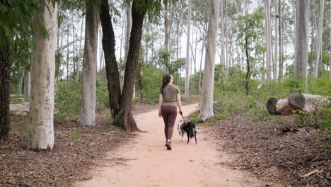 tarde caminando de una niña con su perro pastor australiano en un camino de tierra al aire libre