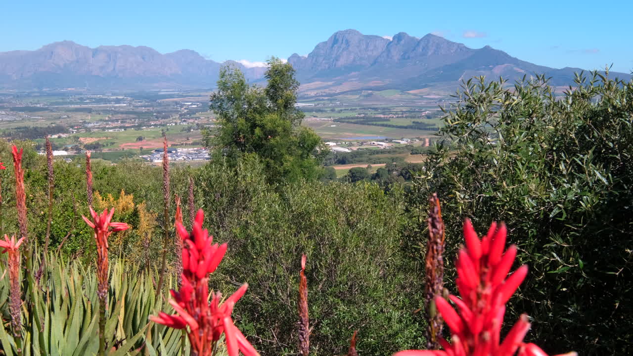 Paarl Mountain with lush vegetation view over patchwork farms and Simonsberg