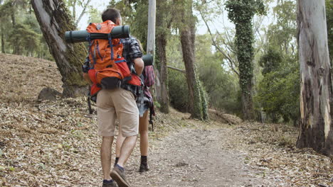 un par de mochileros caminando por un sendero a través del bosque