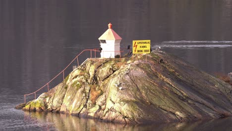 two great cormorants drying their wings on a lighthouse island in western norway while another cormorant is passing in background - static telezoom sunset clip