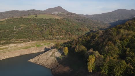 forest by the dam