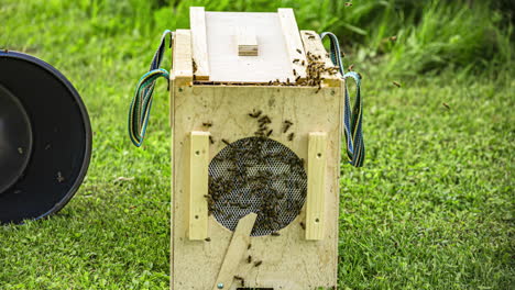 Wooden-transportation-box-for-bees,-close-up-time-lapse-view