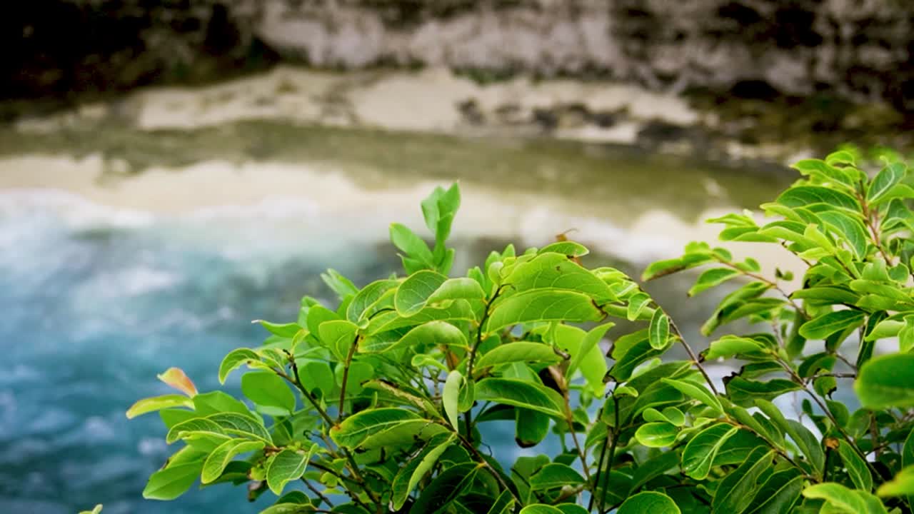 핸드헬드 팬은 파도가 부드럽게 부서지는 아름다운 모래사장, 인도네시아 발리를 드러냅니다.