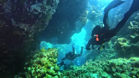 scuba divers swimming between hard coral in the depth