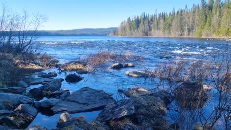 shot of the pristine and picturesque nordic landscape, where a river flows from a lake past pine trees. filmed atop the tännforsen waterfall in sweden on a sunny spring day