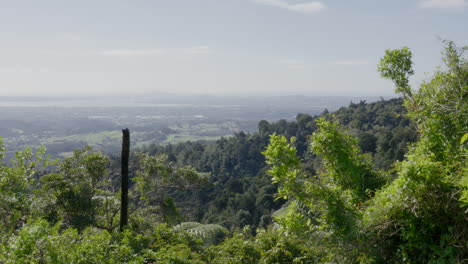 Plano-Amplio-Del-Paisaje-Verde-Alrededor-De-Auckland,-Nueva-Zelanda