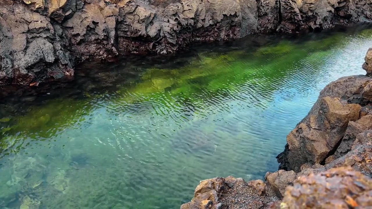 Vista dall'alto di uno stretto canale d'acqua verde, Isabela, Galapagos. Prospettiva dall'alto di acqua marina vibrante e trasparente tra scure pareti rocciose di basalto dalla texture marcata.
