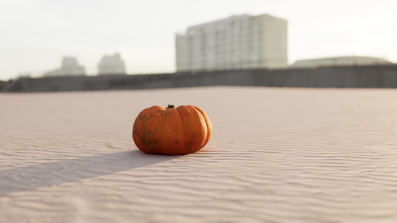 calabaza de halloween en las dunas de la playa