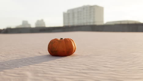 Halloween-Pumpkin-on-the-beach-dunes