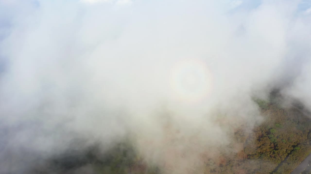 안개 구름으로 날아가는, 공중