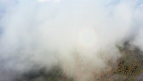 Flying into mist cloud, aerial