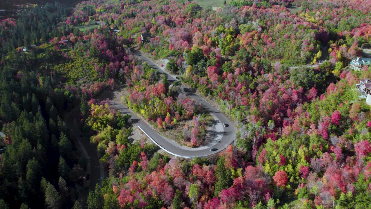 아메리칸 포크 캐년의 알파인 경치 좋은 루프에서 u 턴을 지나가는 자동차의 공중 전망