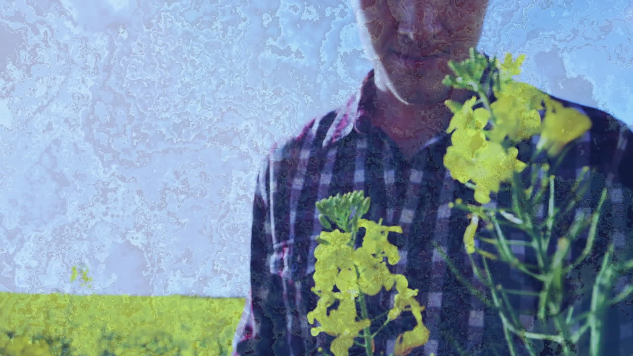 Examining yellow flowers, man in plaid shirt with abstract blue animation overlay