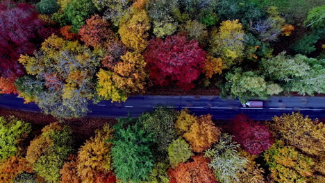 Luftaufnahme-Von-Oben-Nach-Unten-Eines-Autos,-Das-An-Einem-Herbsttag-Auf-Einer-Von-Bunten-Bäumen-Umgebenen-Landstraße-Fährt