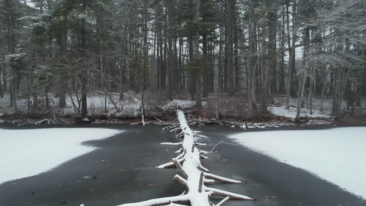 Vista a volo d'uccello di un tronco di pino dopo una forte bufera di neve, tempesta di neve su una fitta foresta, neve ghiacciata in un lago, ambiente invernale in Massachusetts, Stati Uniti