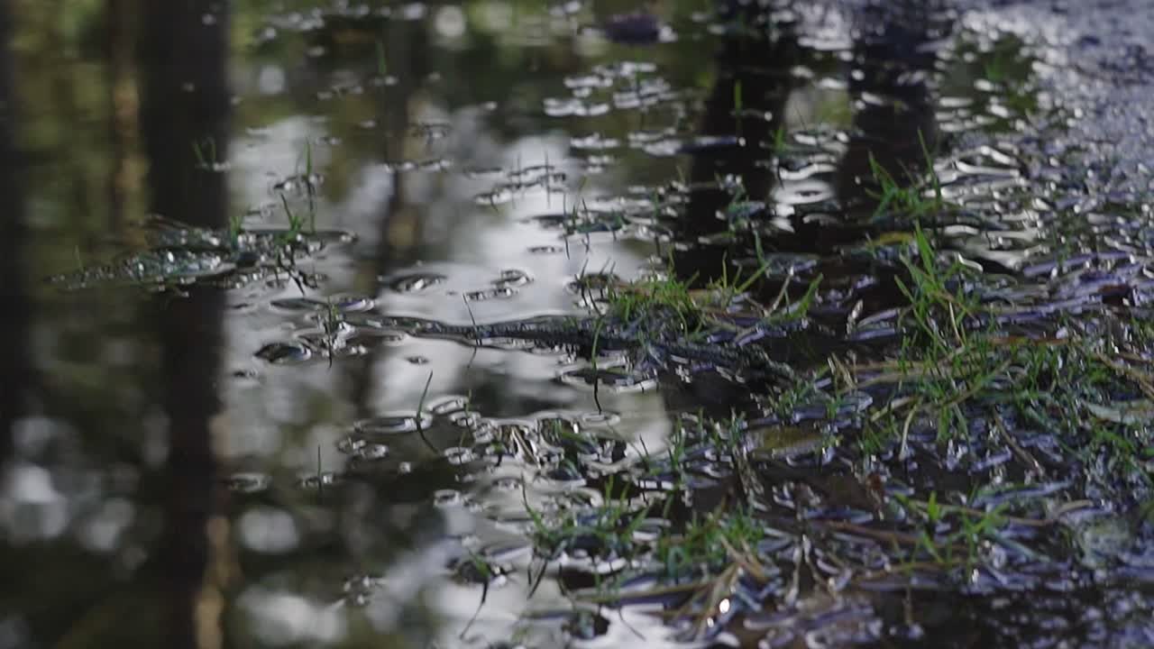 Cute toddler enjoying the outdoor forest while getting excited for a muddy puddle