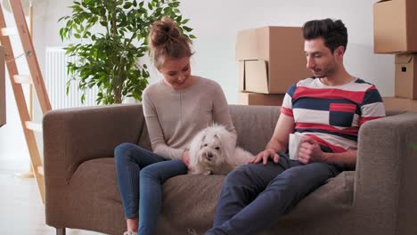 tener un descanso de mudarse de casa con una mascota