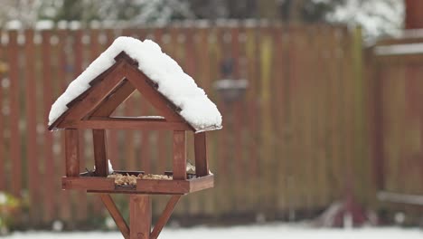 Robin-flies-on-wooden-bird-table-snow-covered