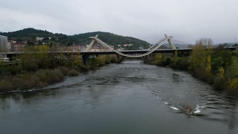 static view of millennium bridge miño river in ourense, galicia, spain as seagull soars in sky