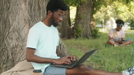 young african american  man working on laptop in park