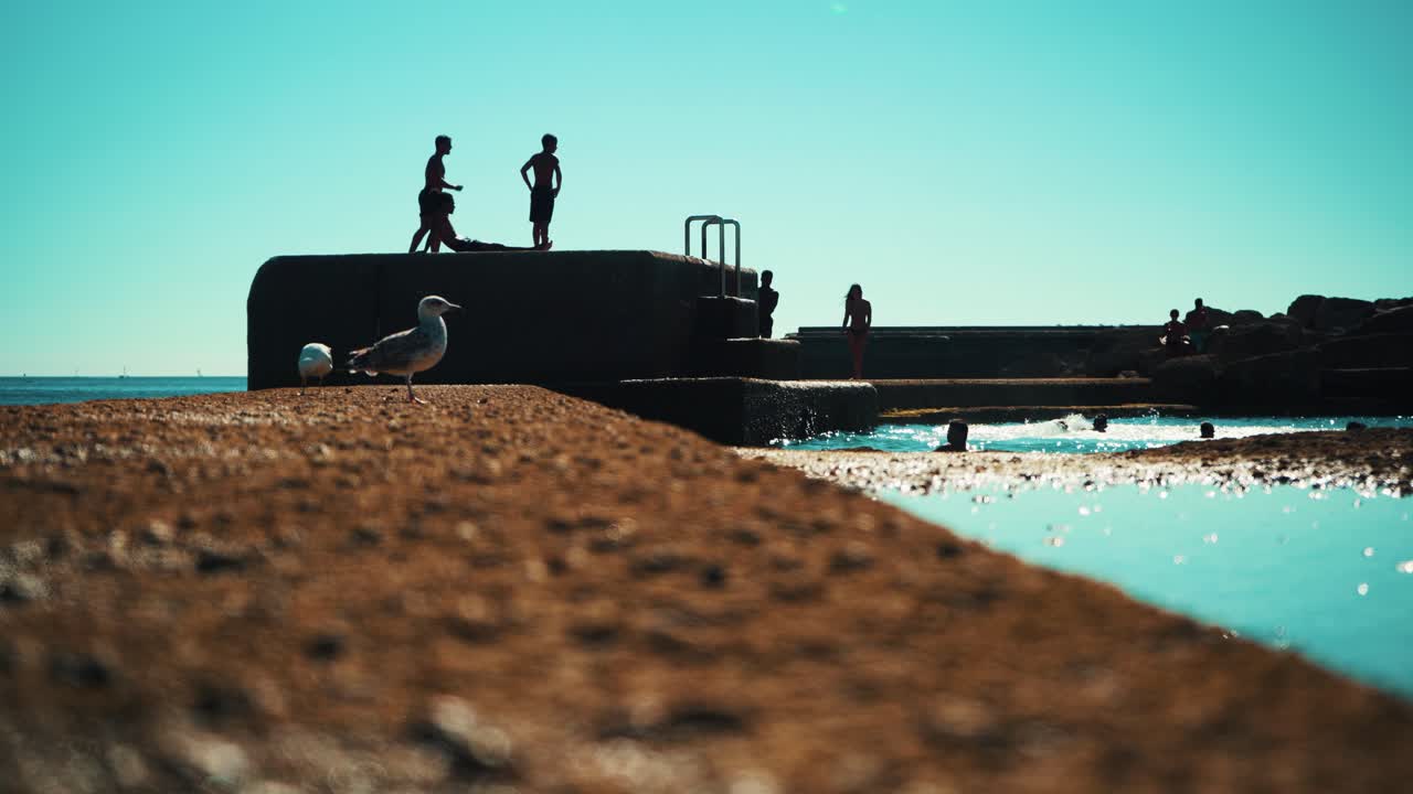 실루엣 아이들이 선샤인 4k에서 물 위의 부두에서 점프하는 해안선의 염수 수영장