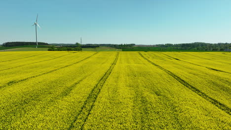 A-wind-turbine-in-a-green-field-with-yellow-blooming-crops-in-the-foreground