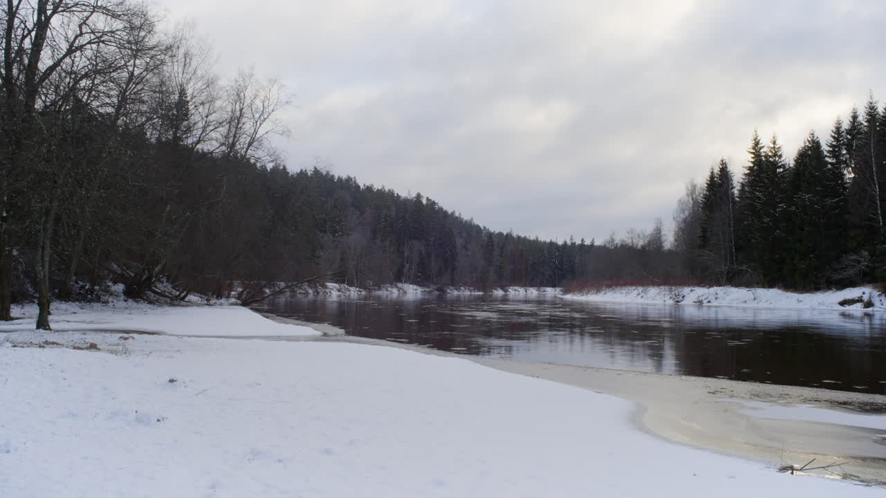 видземе латвии в январе месяце