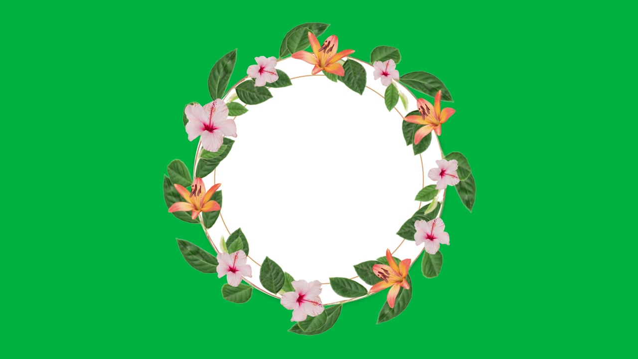 Floral Wreath Frame Animation on Green Screen