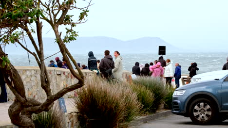 visitors to hermanus do whale watching on windy day from cliffs, gearings point