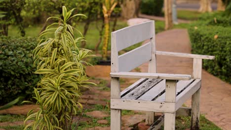 un banco al lado de una planta en un jardín