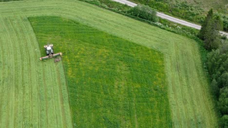 Tractor-Mowing-Fresh-Green-Grass-Field-In-Summer---aerial-top-down