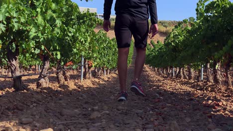 man exploring the countryside on a september morning-5