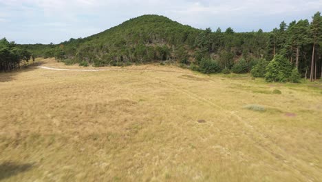 aerial: flying over dry meadow and over mountain to horizon with sea visible in background