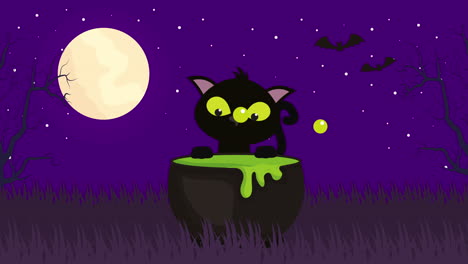 halloween dark scene with cat and cauldron