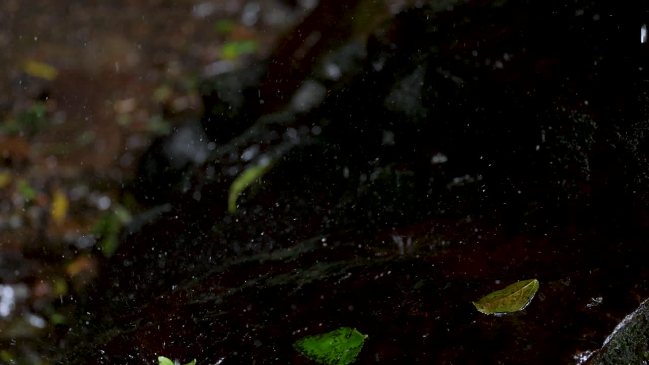 Close-up of rainwater droplets splashing onto dark, moss-covered rocks and scattered leaves in a shaded, natural forest setting with soft, diffused lighting