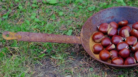 fresh maroni chestnuth in pan ready to be roasted