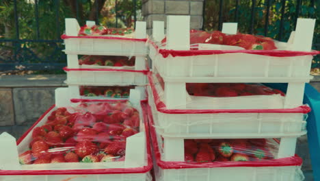 Stacked Crates of Fresh Strawberries